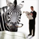Daily Zebra