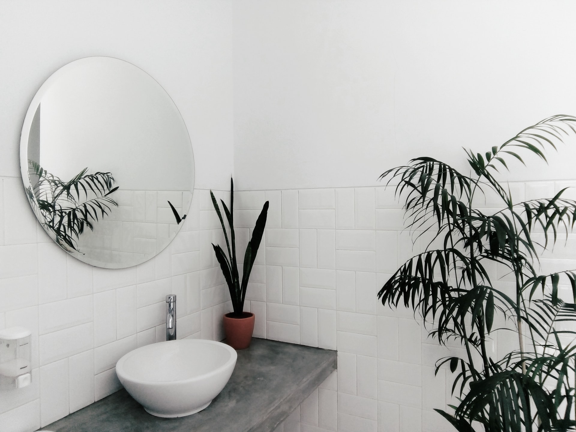 My not-so-minimalist bathroom – Caitlin Liz Fisher